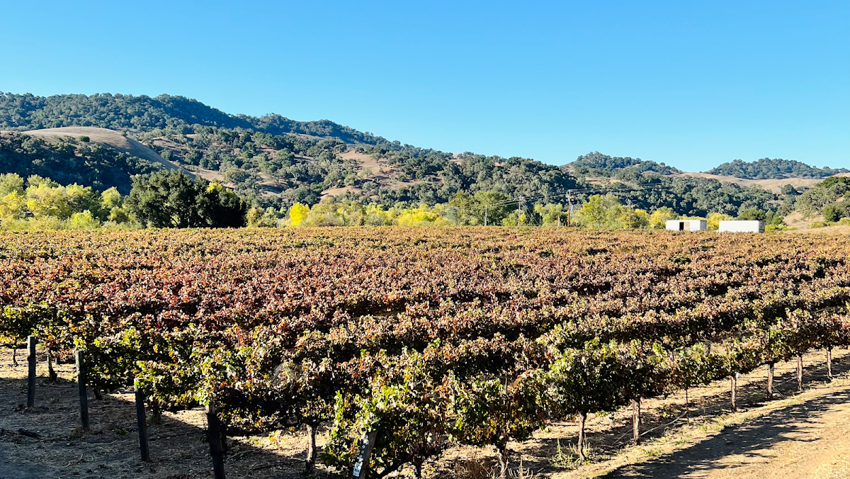 Sunstone Winery