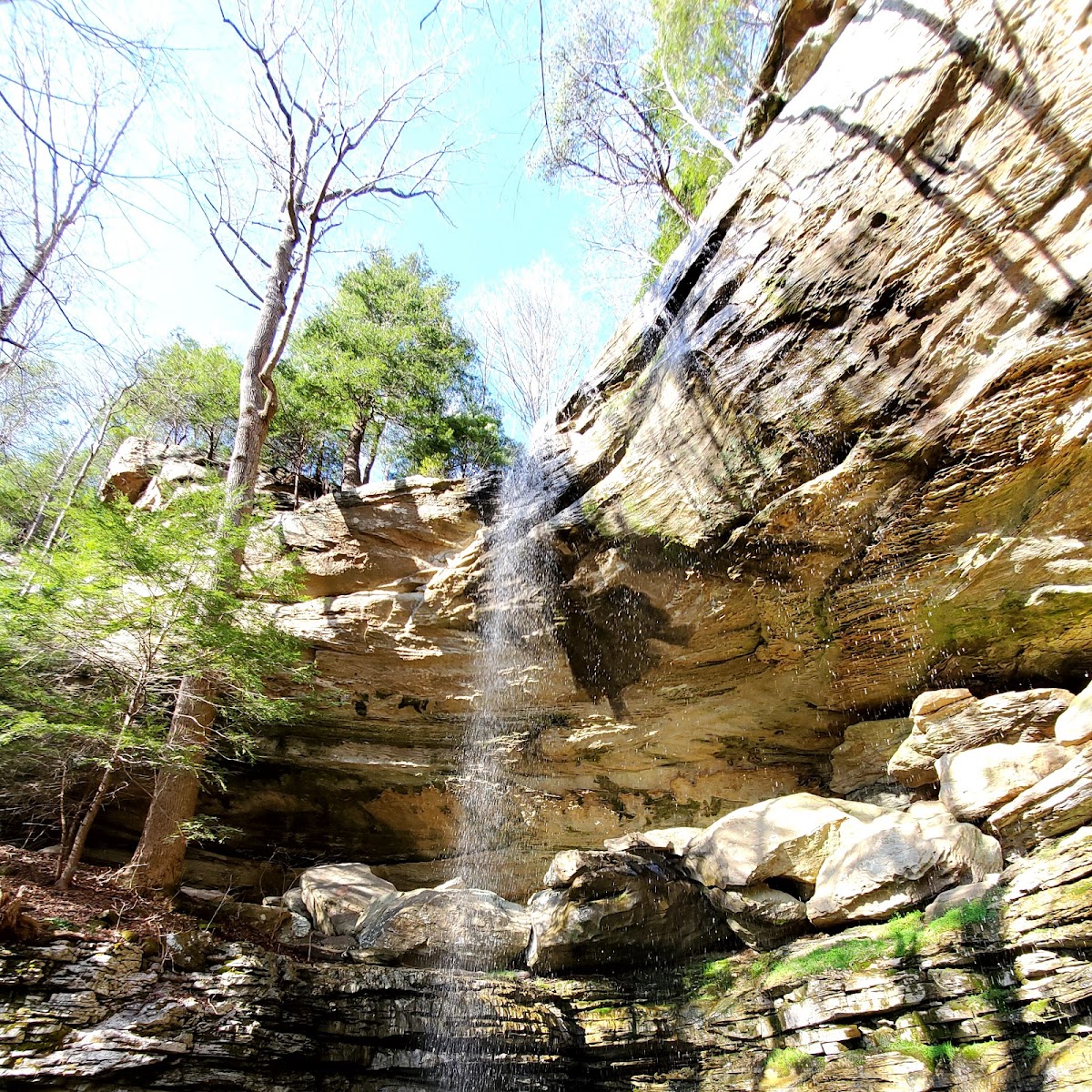 Anglin Falls