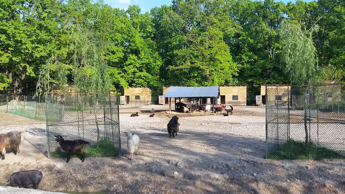 Zoo Pitesti