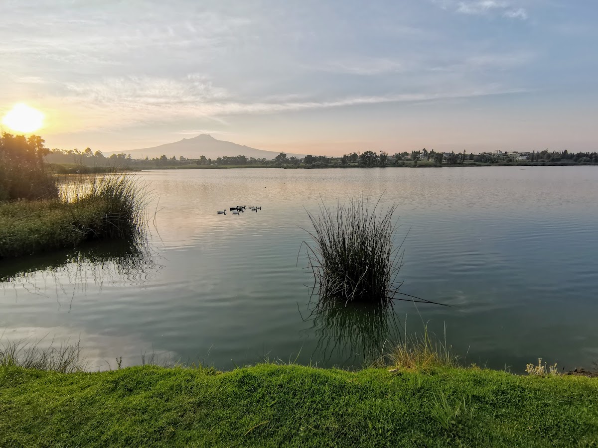 Laguna de Acuitlapilco