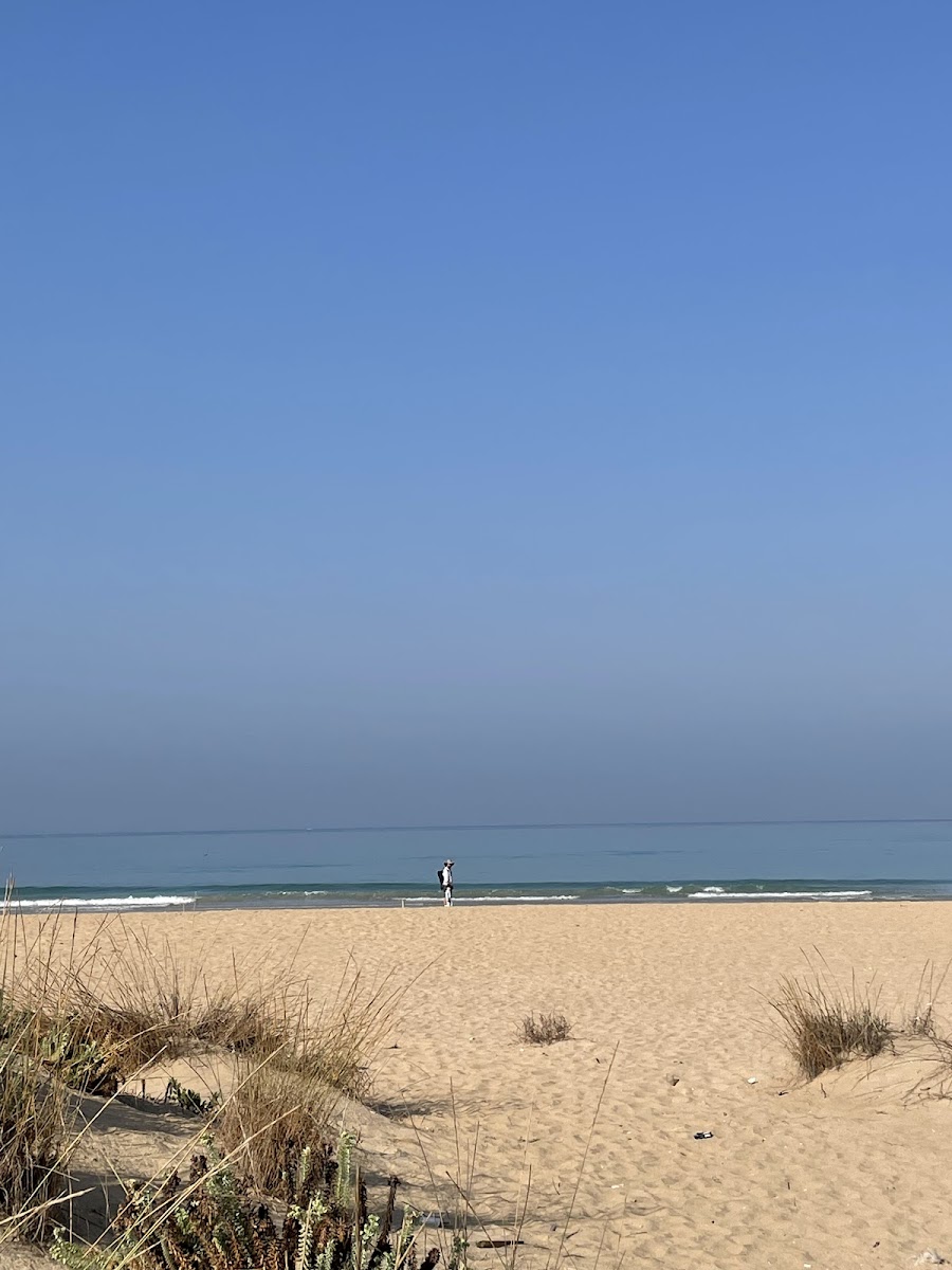 Tyre Coast Nature Reserve