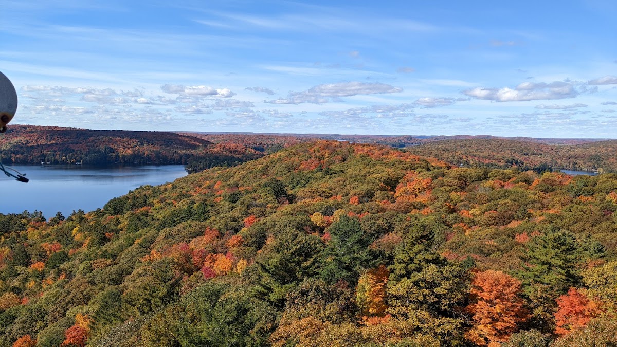 Dorset Lookout Tower
