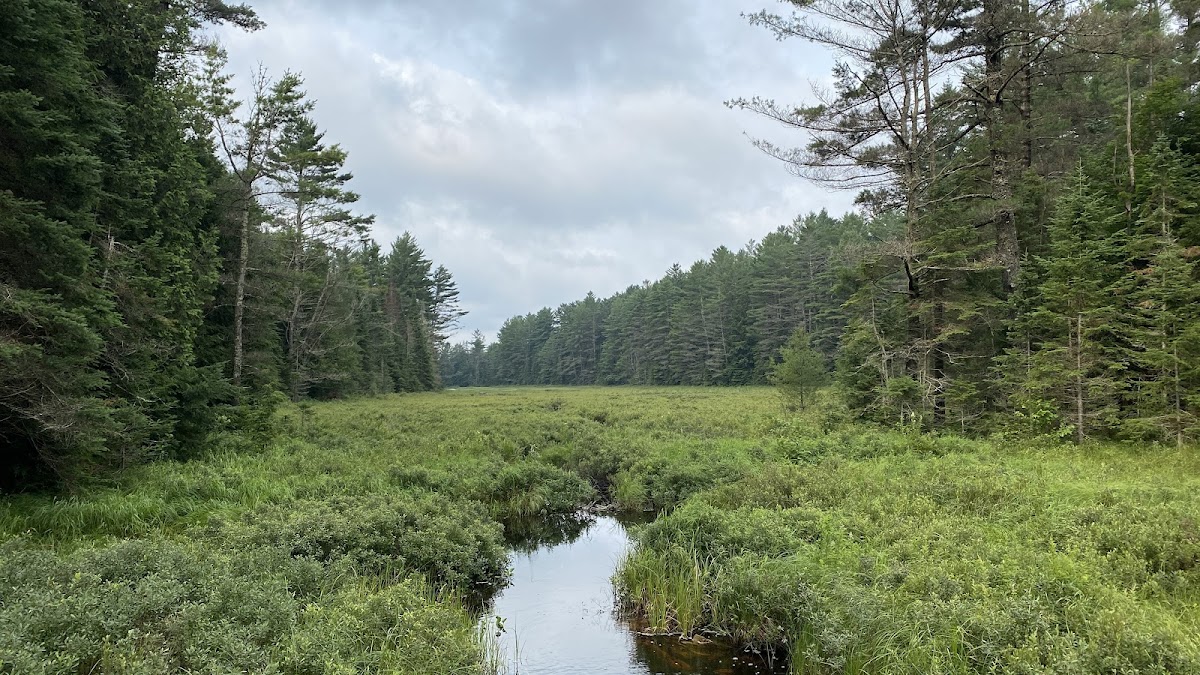 Mizzy Lake Trail