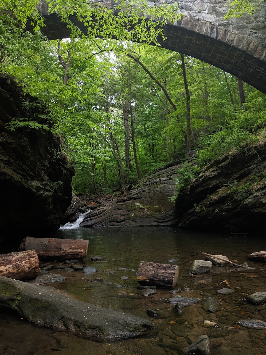 Wissahickon Valley Park