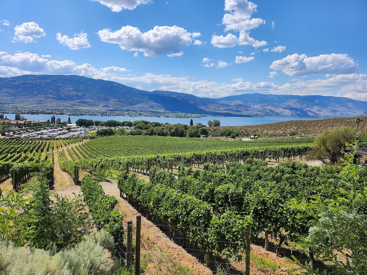 Nk'Mip Cellars