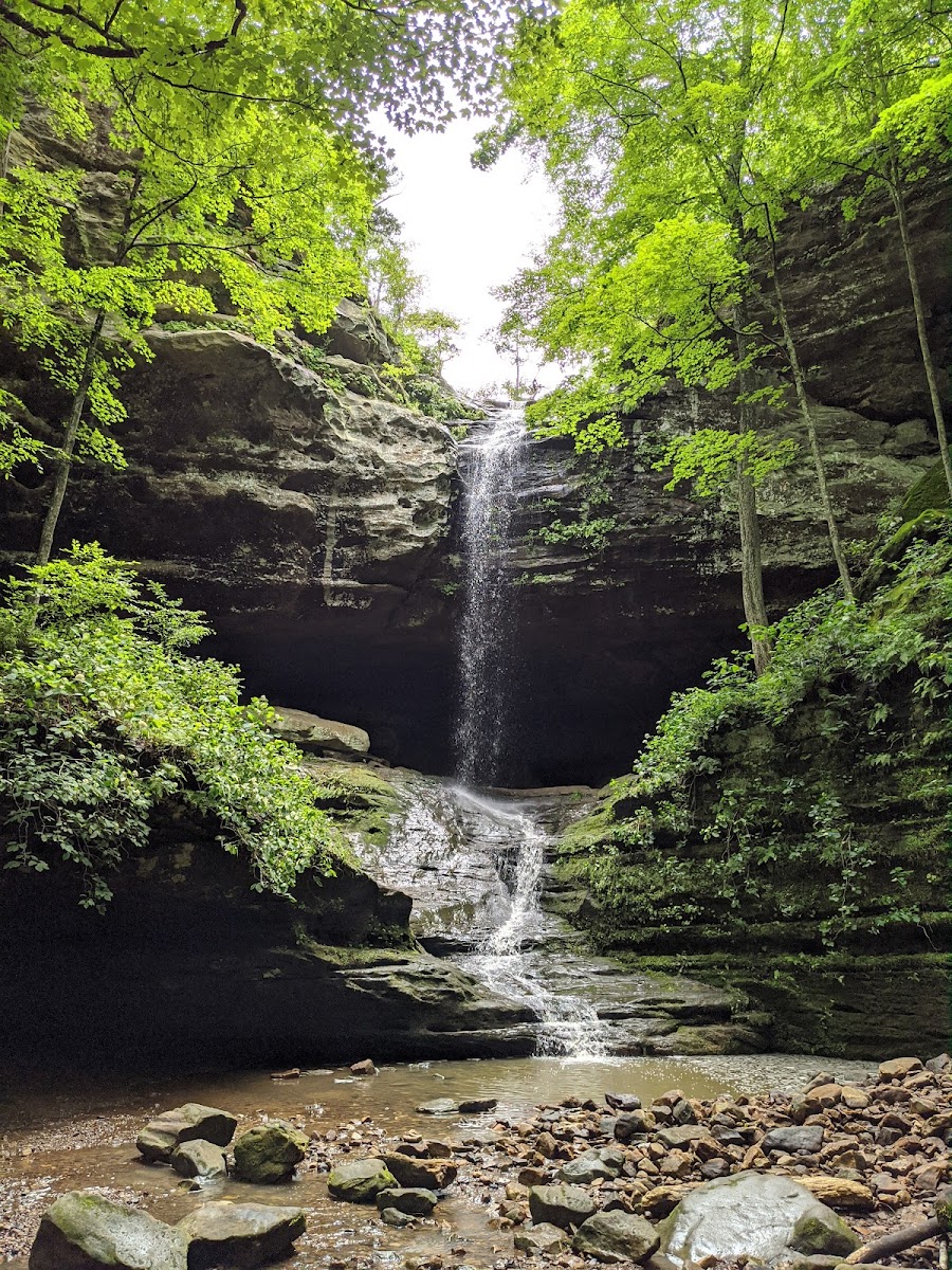 Ferne Clyffe State Park