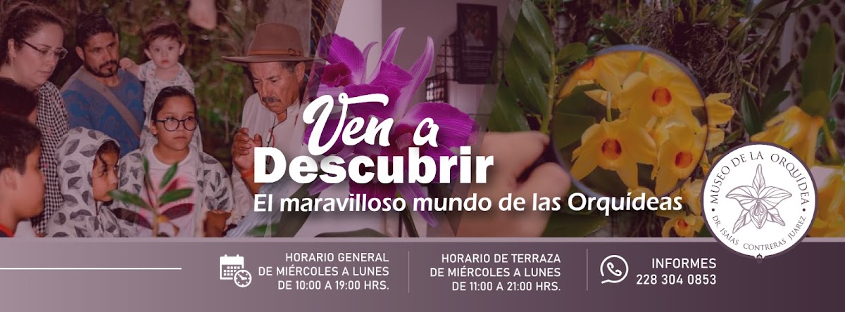 Museum of Orchids