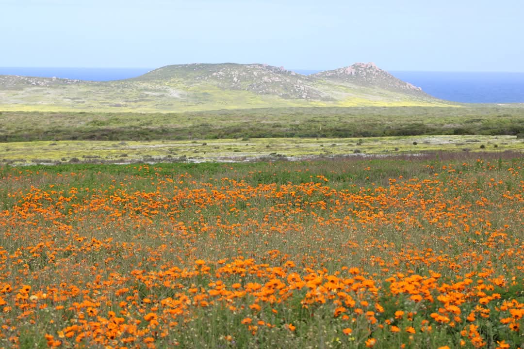 Postberg