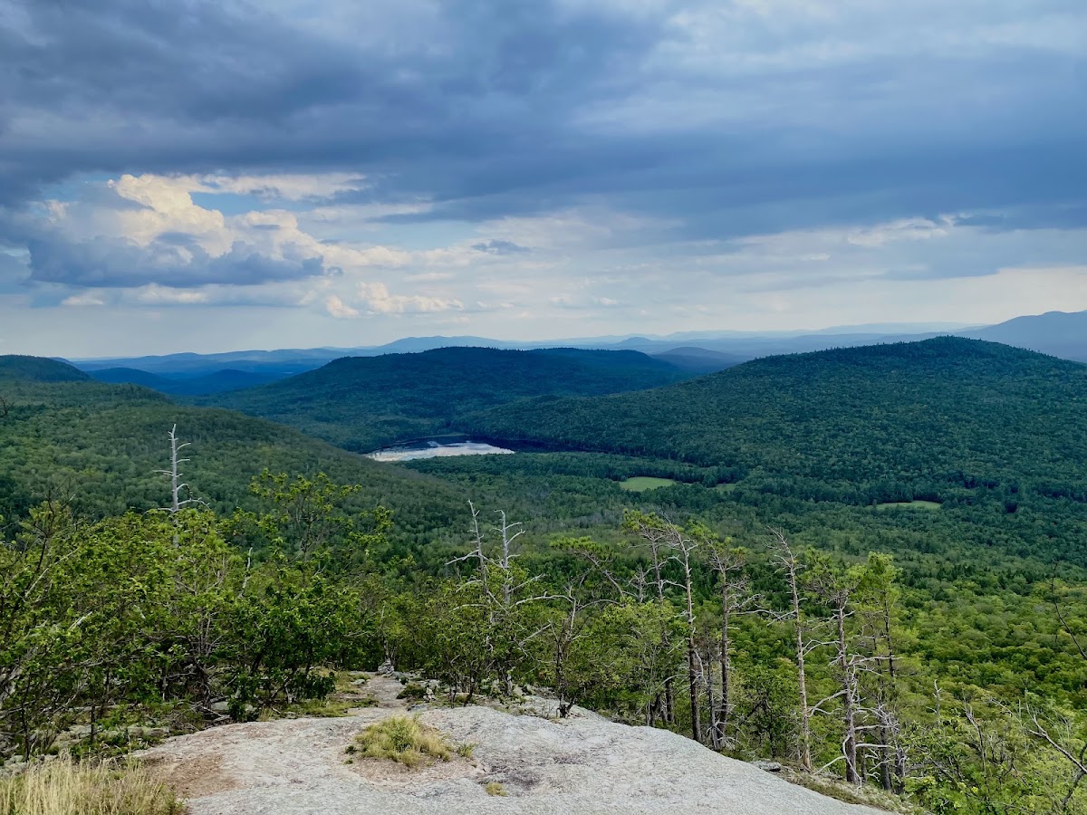 Blueberry Mountain