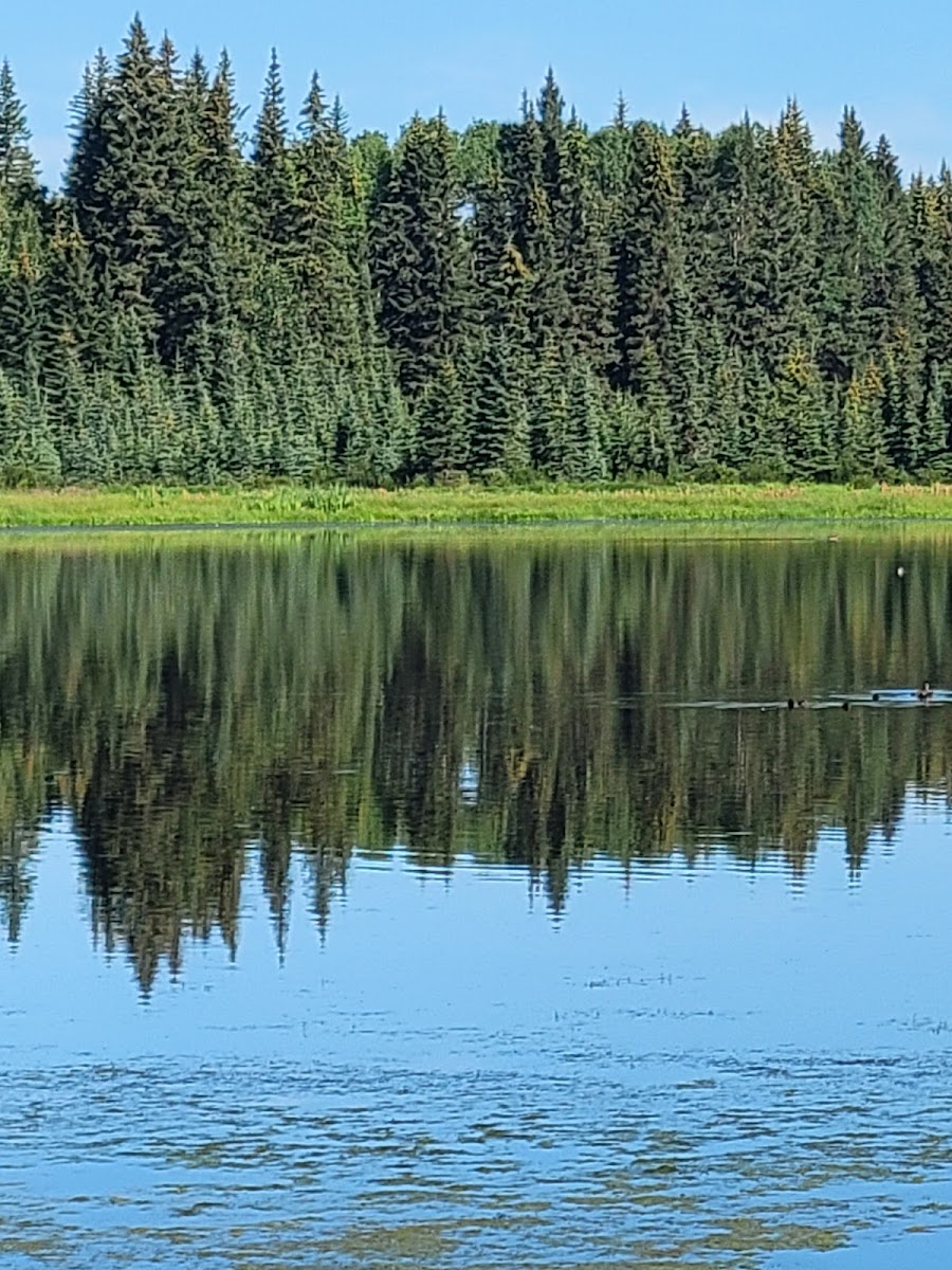 Schott's Lake