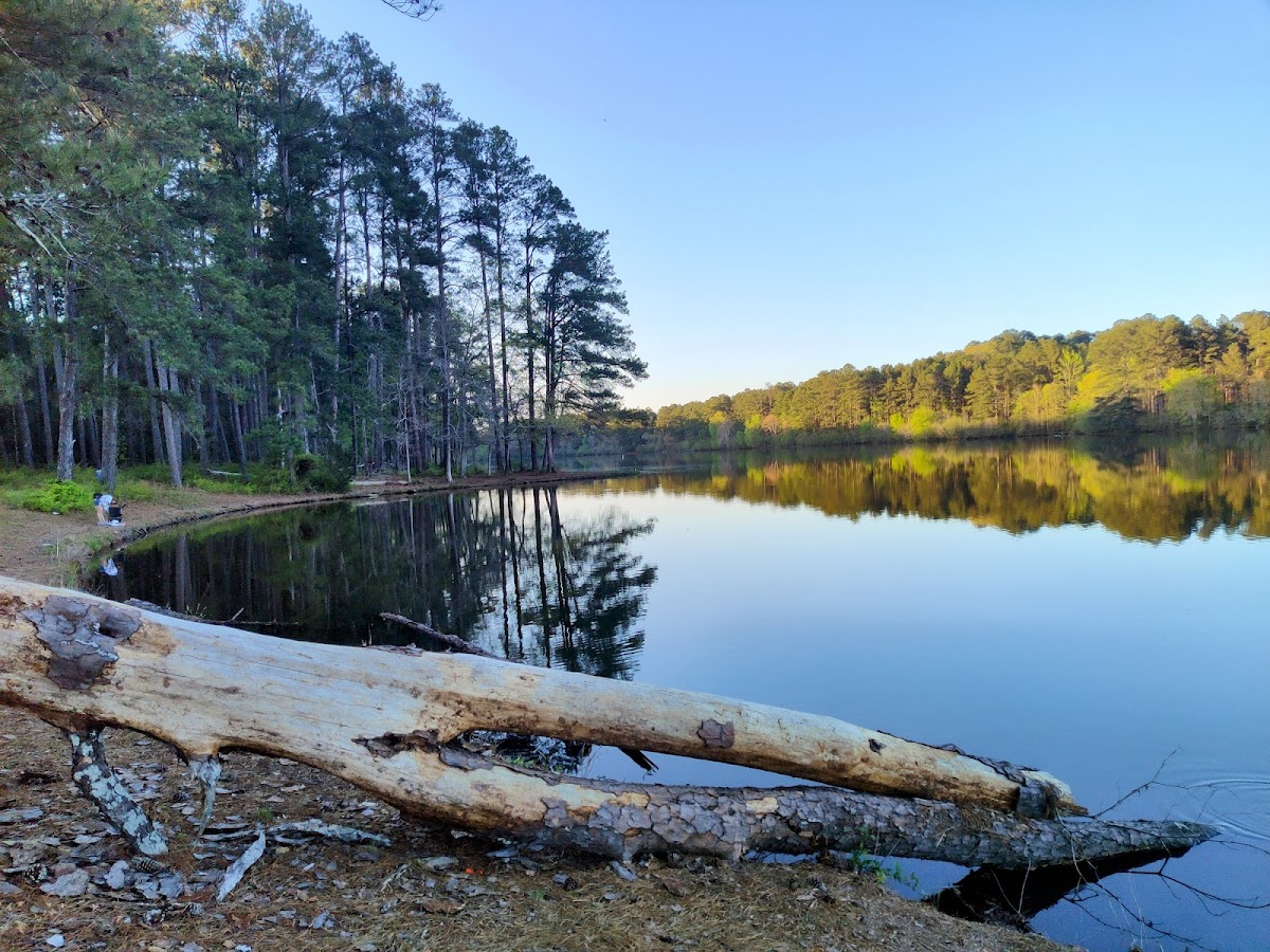 Walker County Public Lake