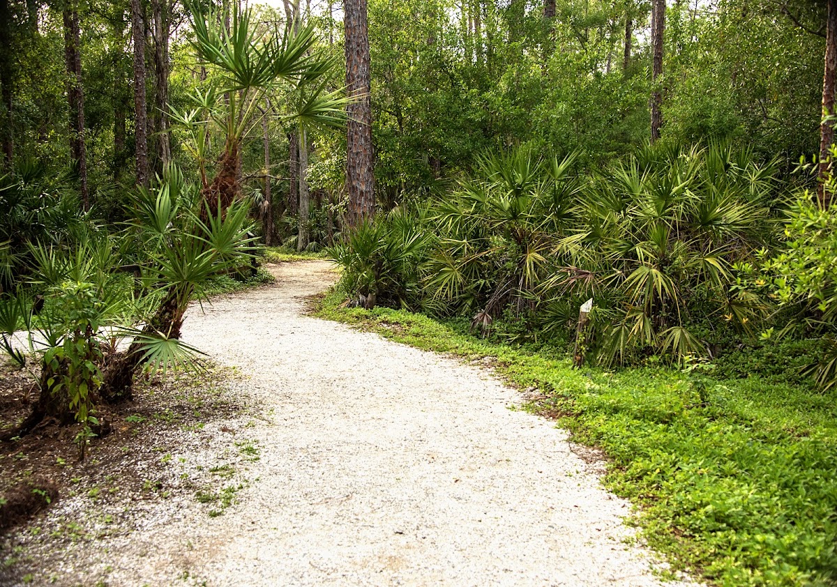 Calusa Nature Center & Planetarium