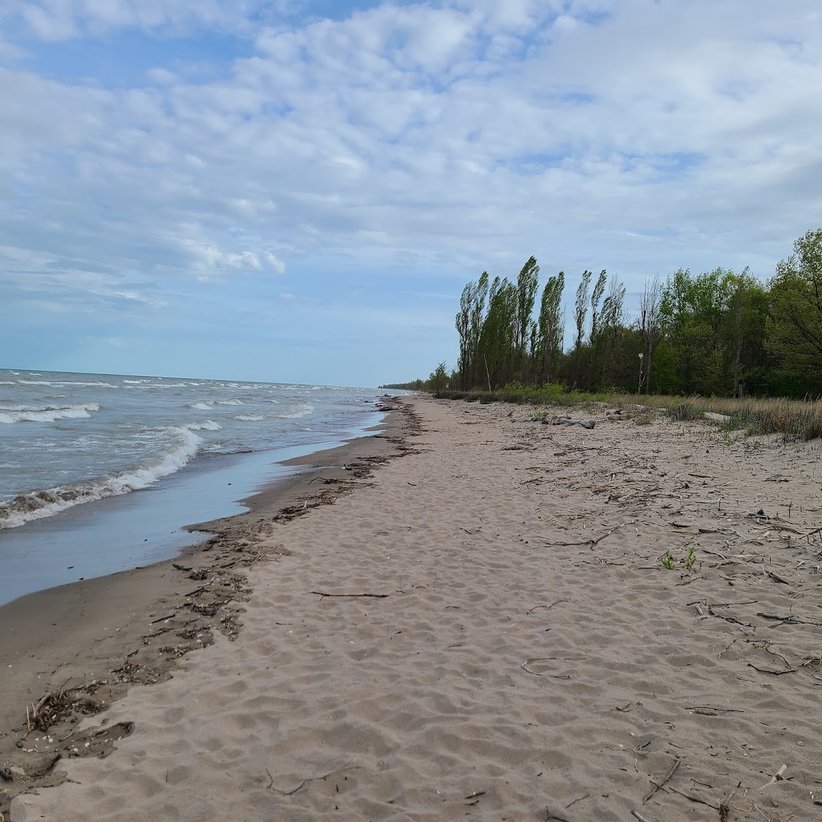 Rondeau Provincial Park