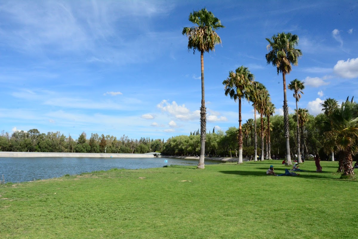 Tangamanga Park I