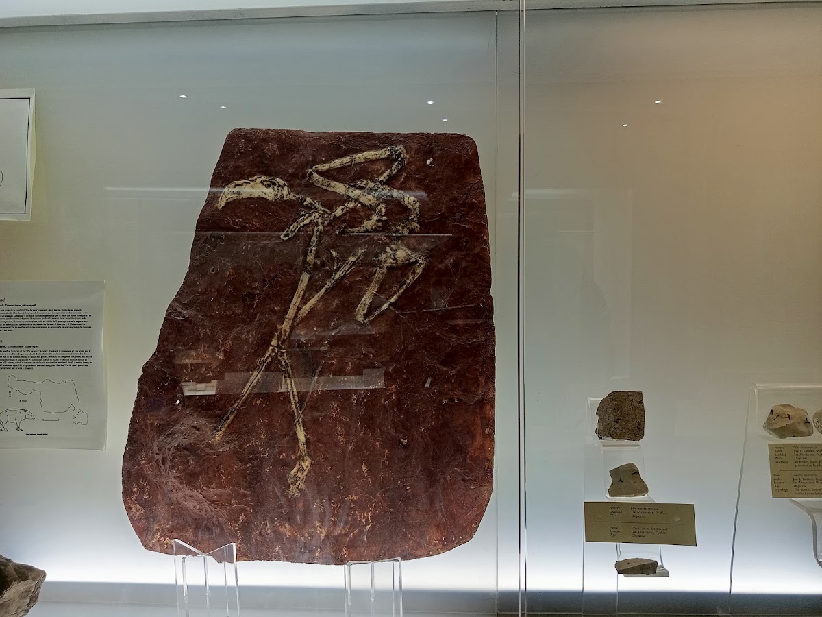 Museo Regional Mixteco Tlayua
