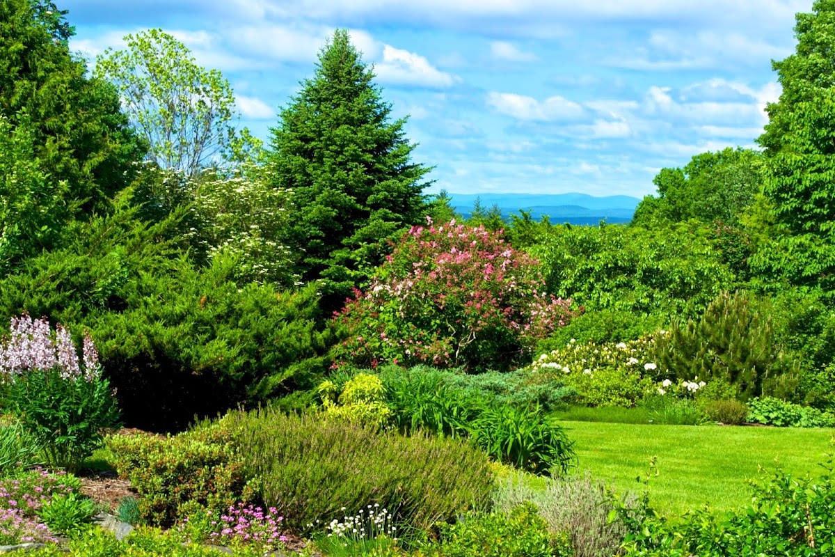 Distant Hill Gardens - Open the third weekend in May, and the first & third weekend, June through October