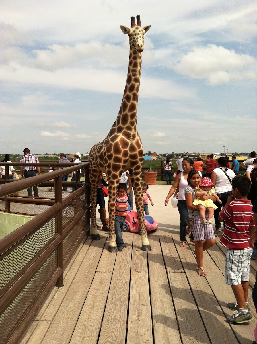 Zoológico Regional de Nuevo Laredo