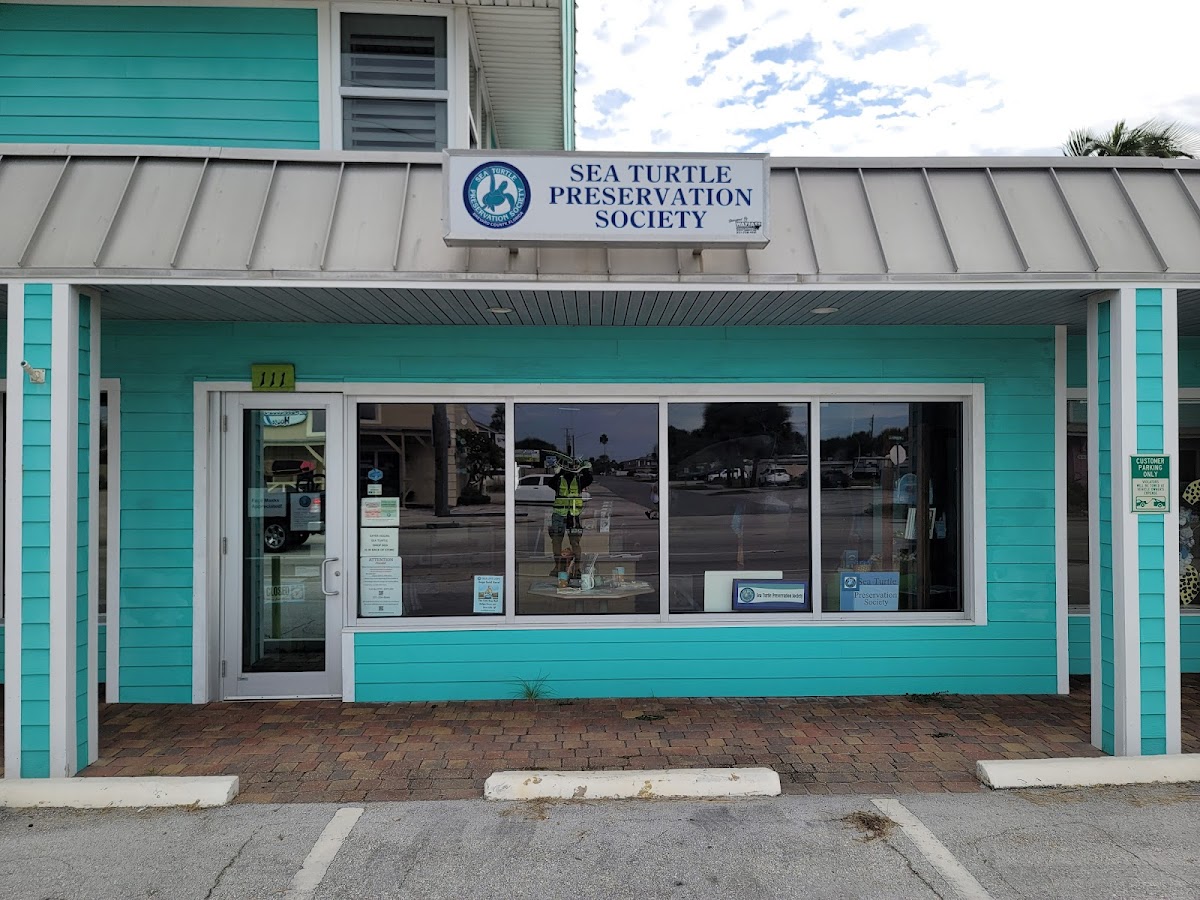 Sea Turtle Preservation Society