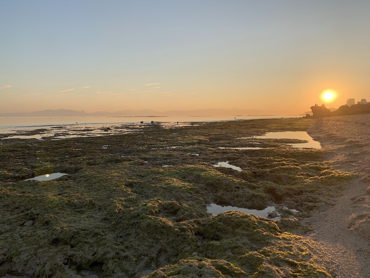 Pasir Panjang