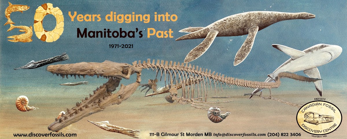 Canadian Fossil Discovery Centre