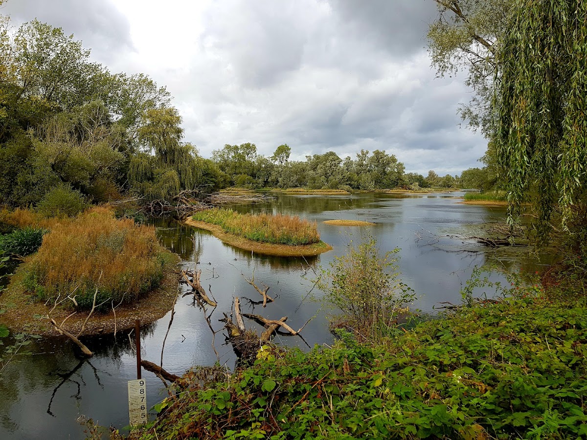 Paxton Pits Nature Reserve