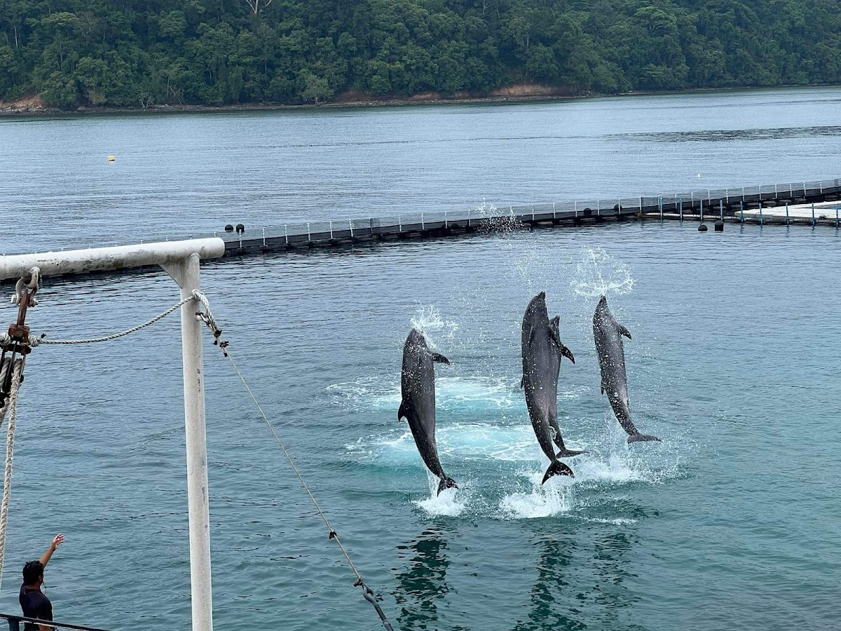 Ocean Adventure, Subic Bay