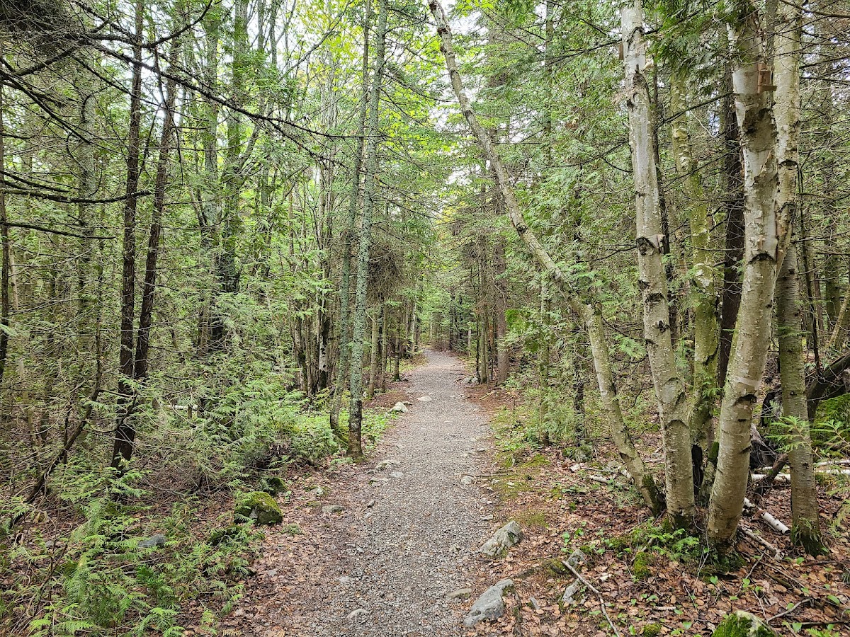 Sentier du Cabouron de Saint-Germain