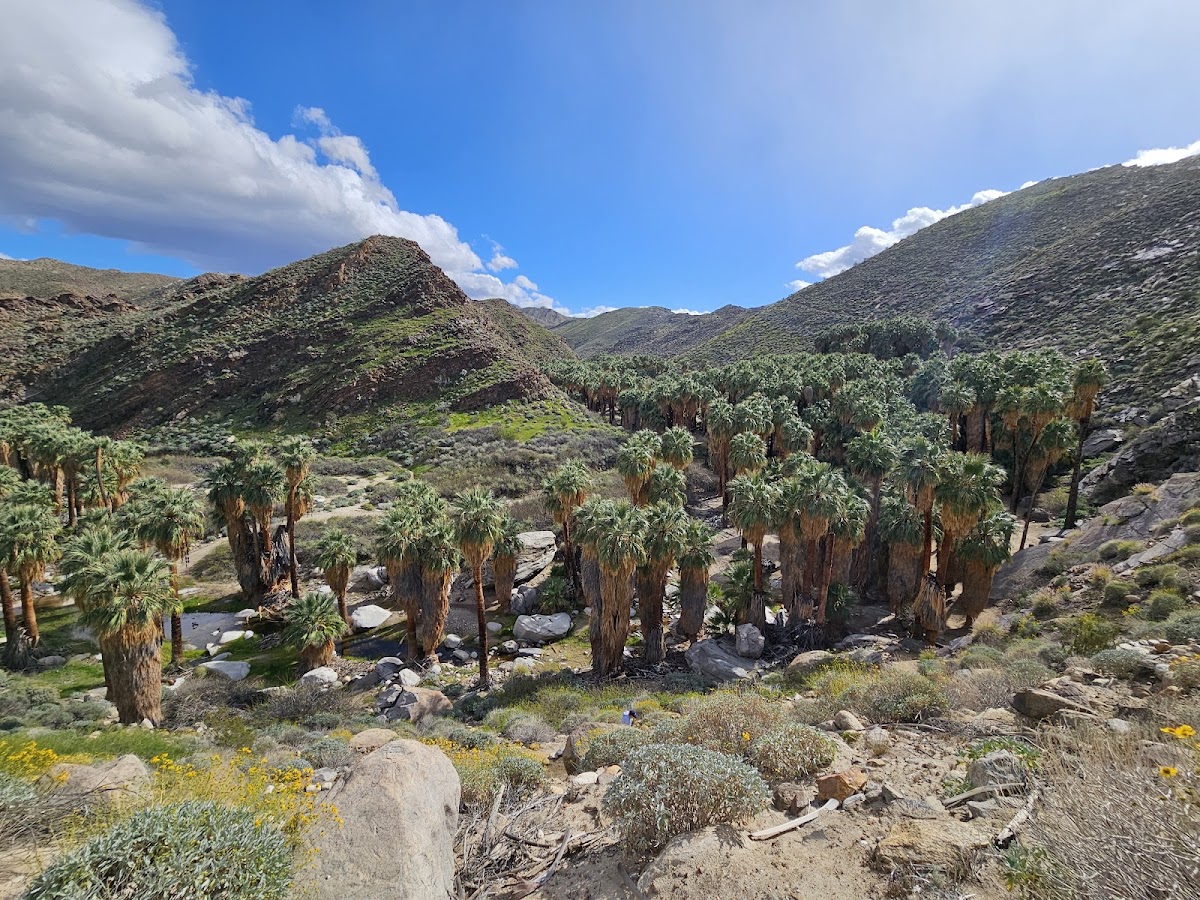 Indian Canyons