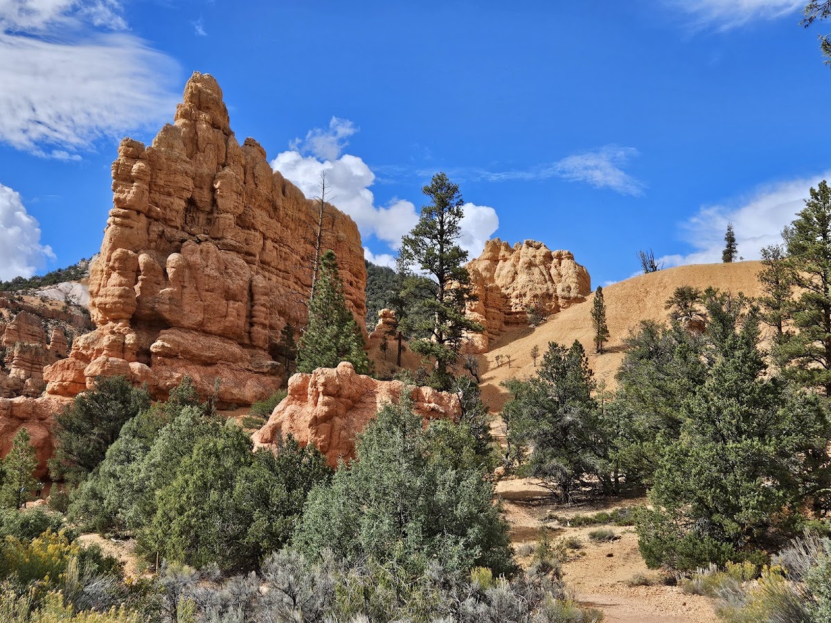 Red Canyon Visitor Center