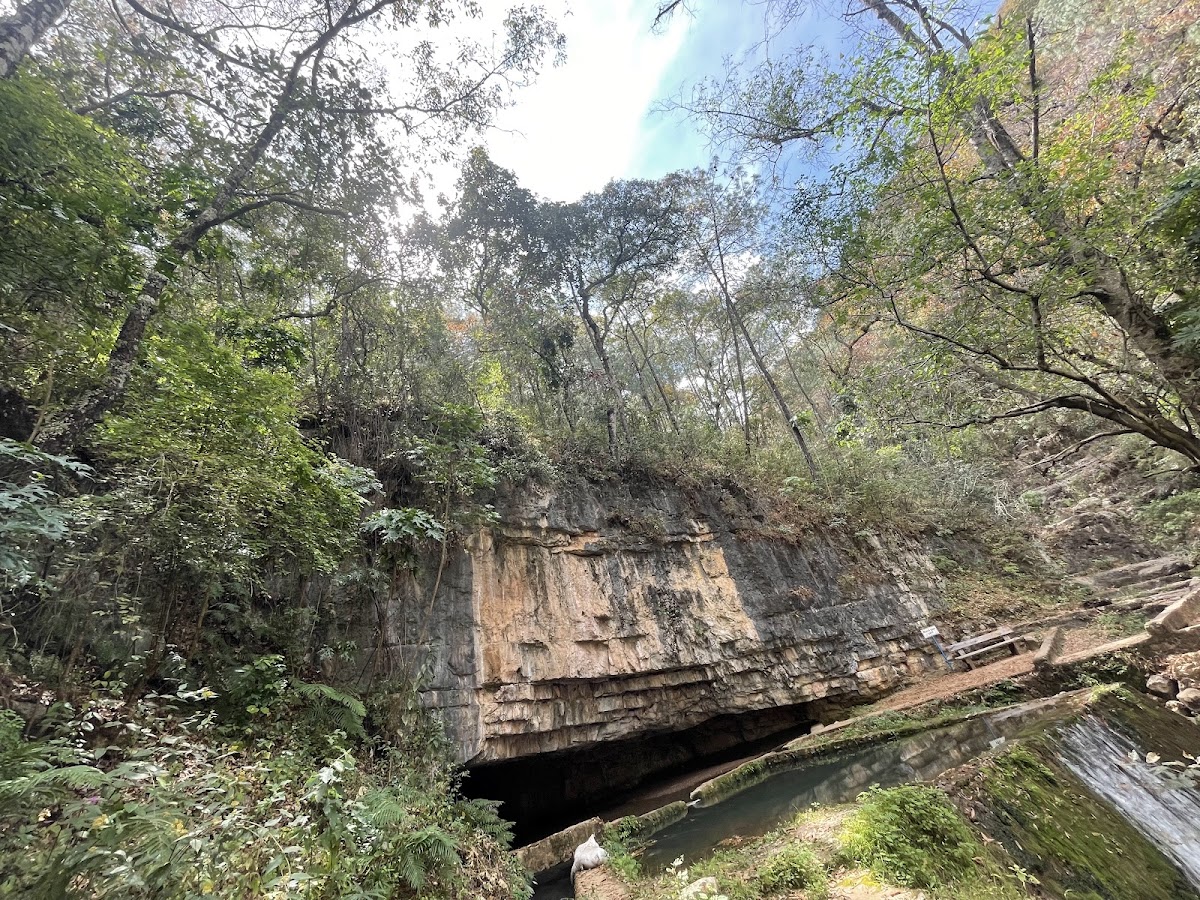 KAVA YUU YAVI Cave