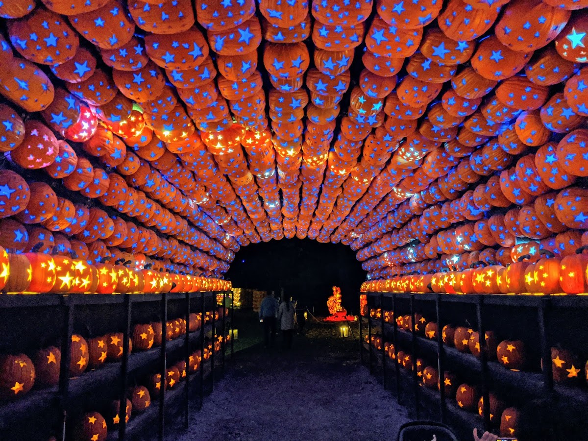 The Great Jack O’Lantern Blaze: Hudson Valley
