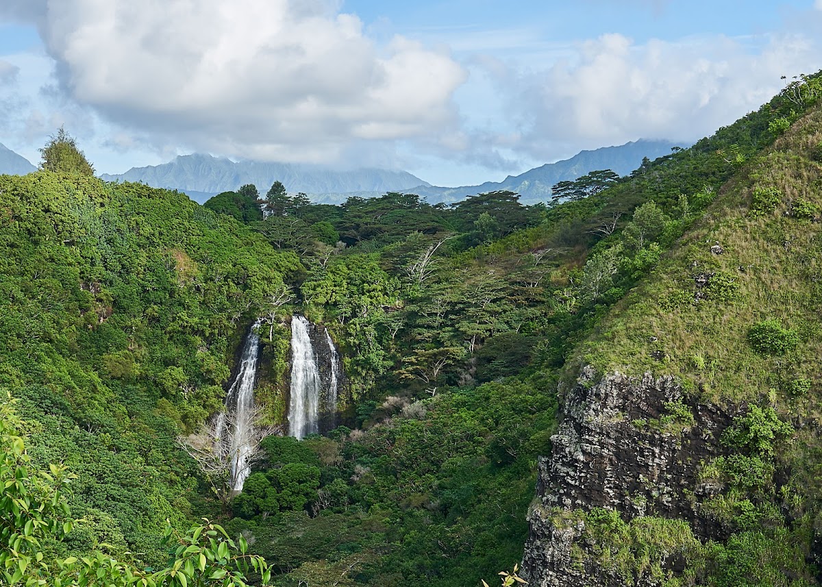 'Opaeka'a Falls