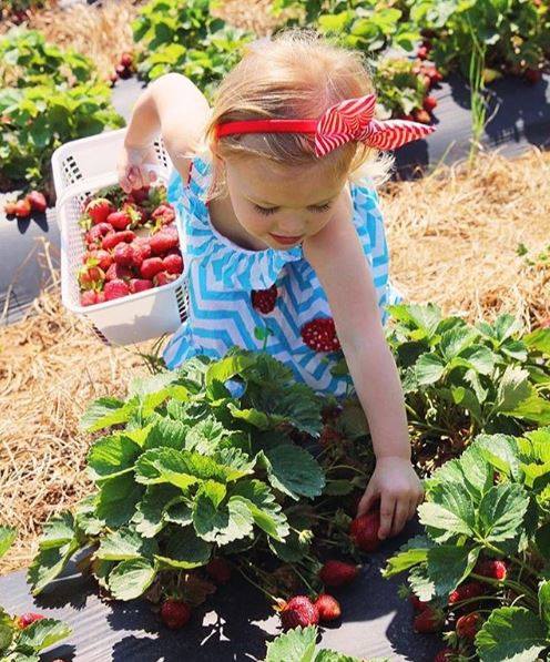 Carrigan Farms