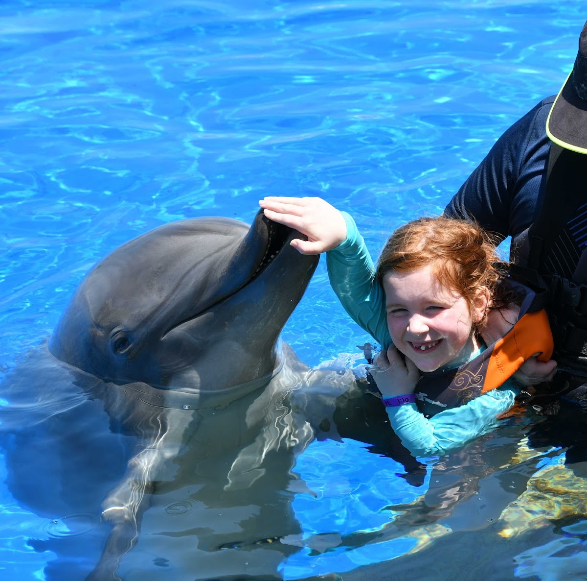Marineland Dolphin Adventure