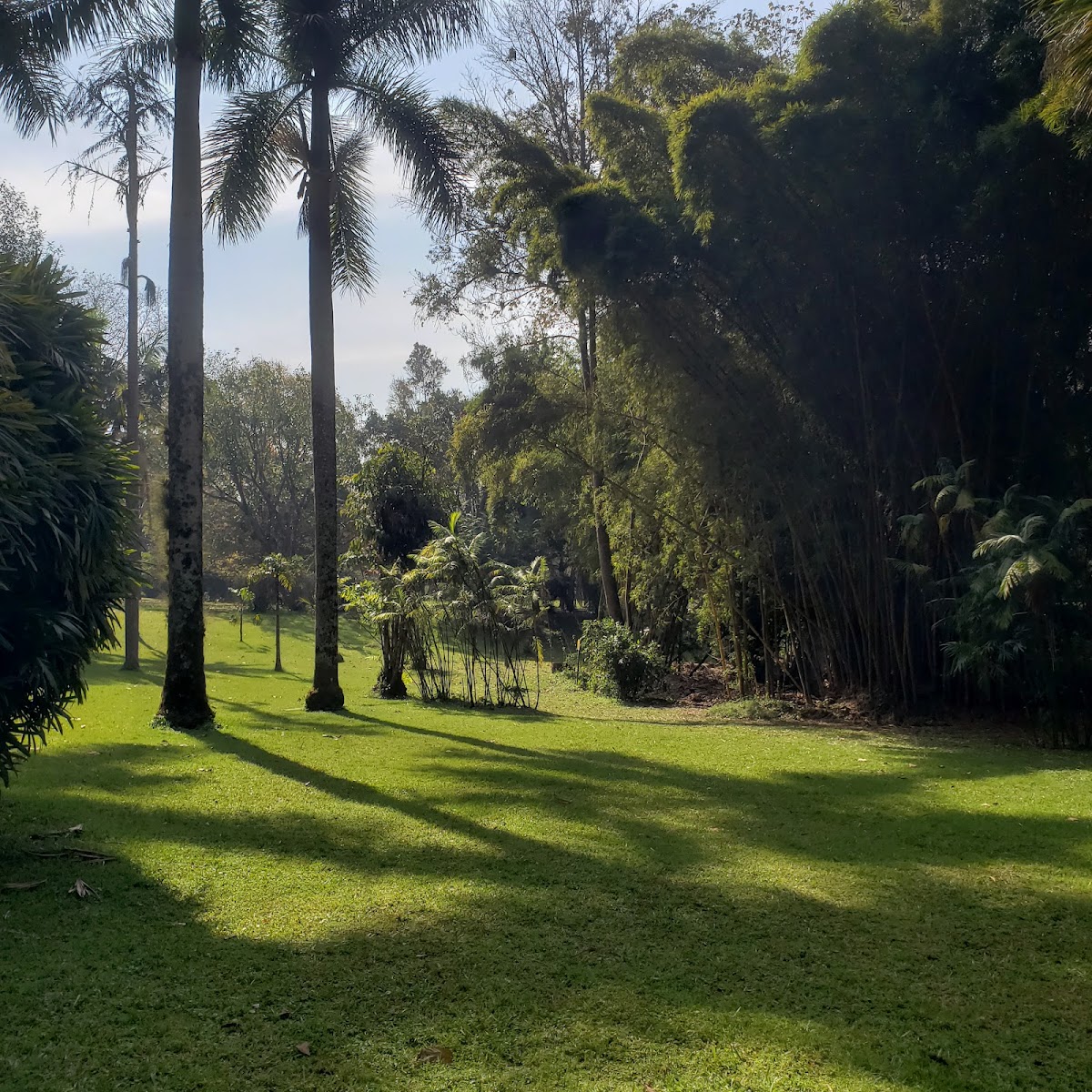 Francisco Javier Clavijero Botanical Garden