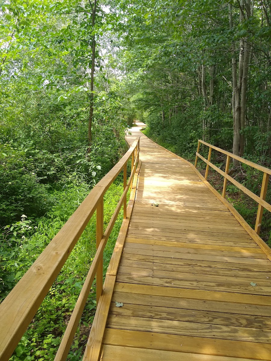 Boardwalk Loop Trail