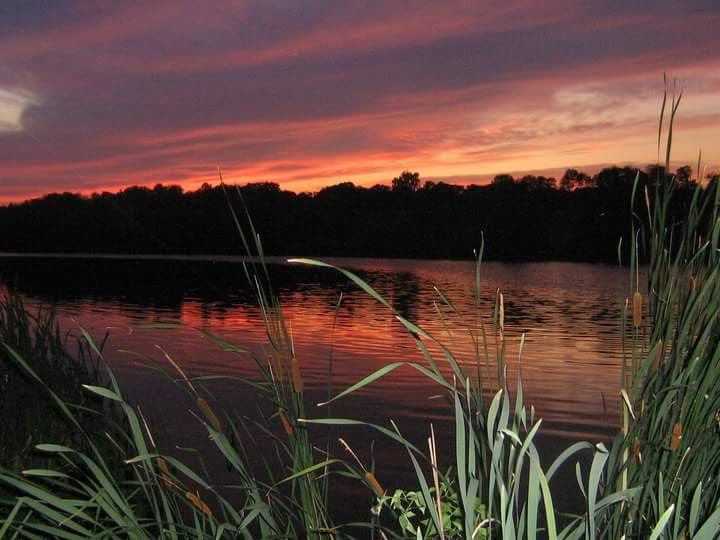 Garland Pond
