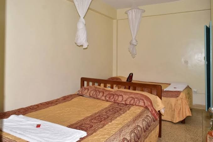 Ibis hotel photo 2