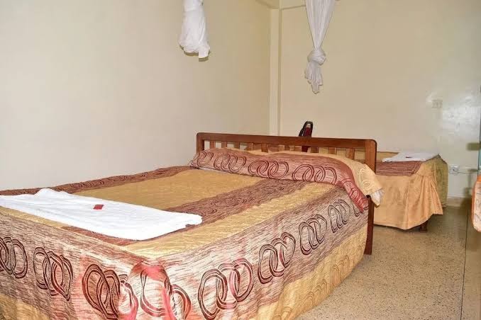 Ibis hotel photo 3
