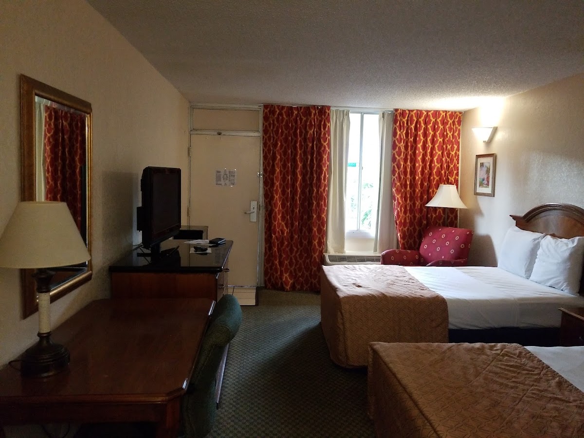 Room 5