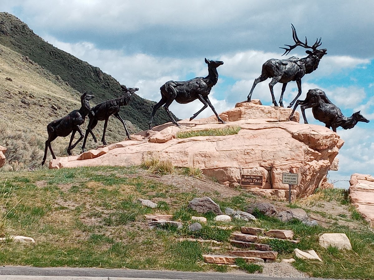 National Museum of Wildlife Art