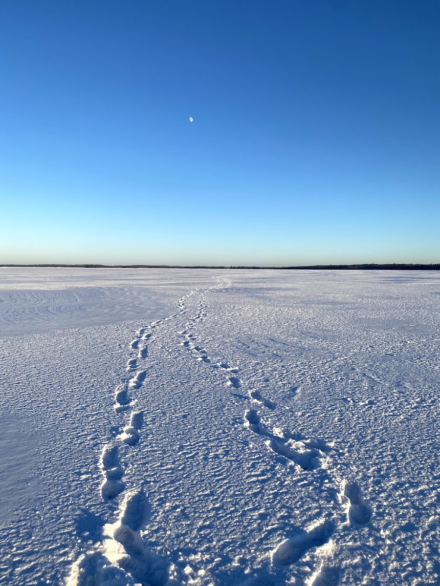 Woman Lake
