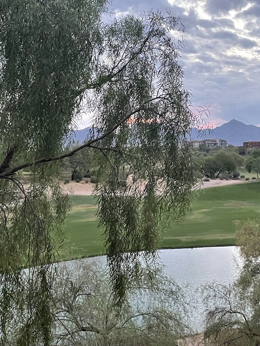 Sunrise Village Active 55+ Resort photo 2