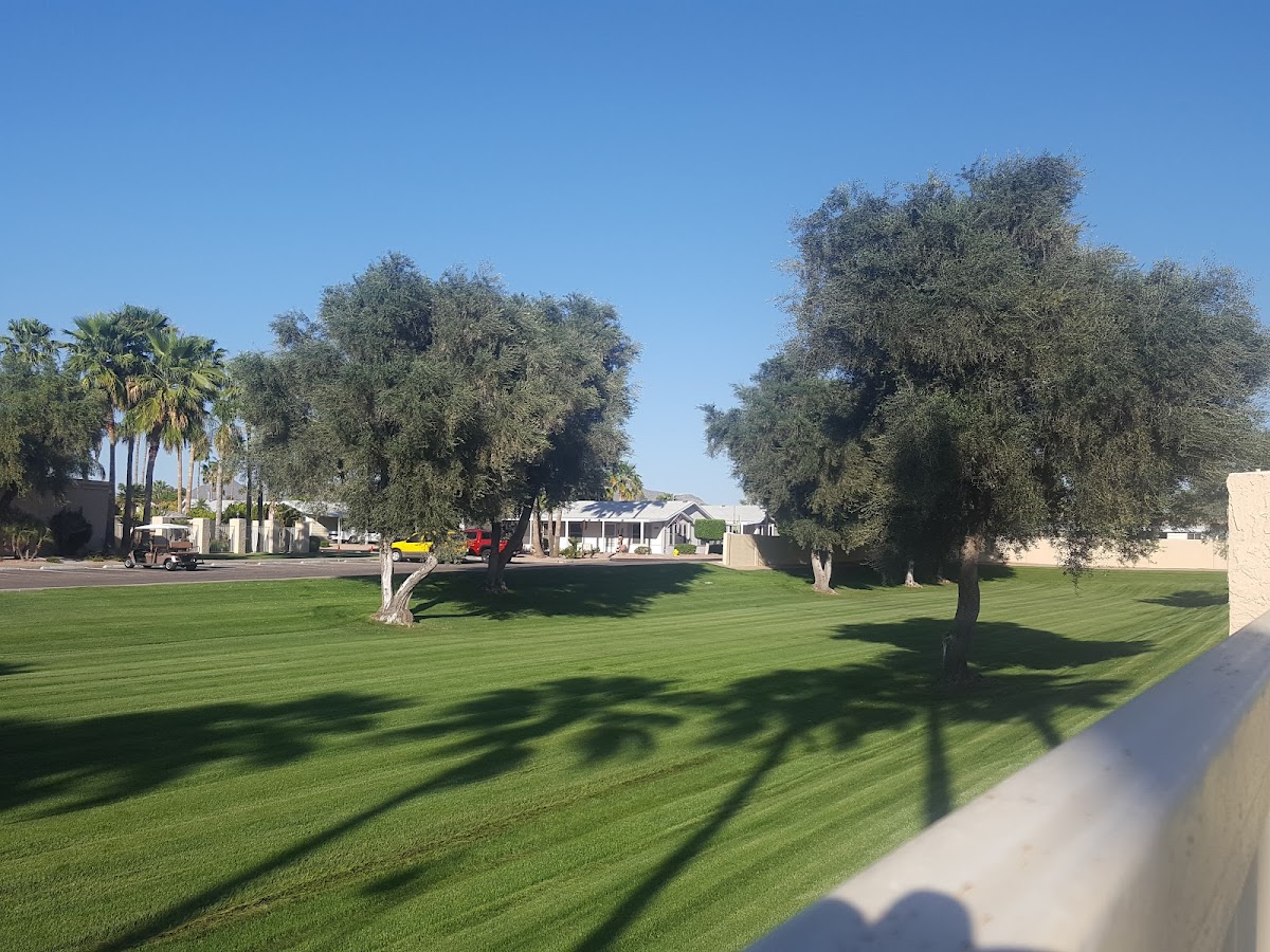 Sunrise Village Active 55+ Resort photo 3