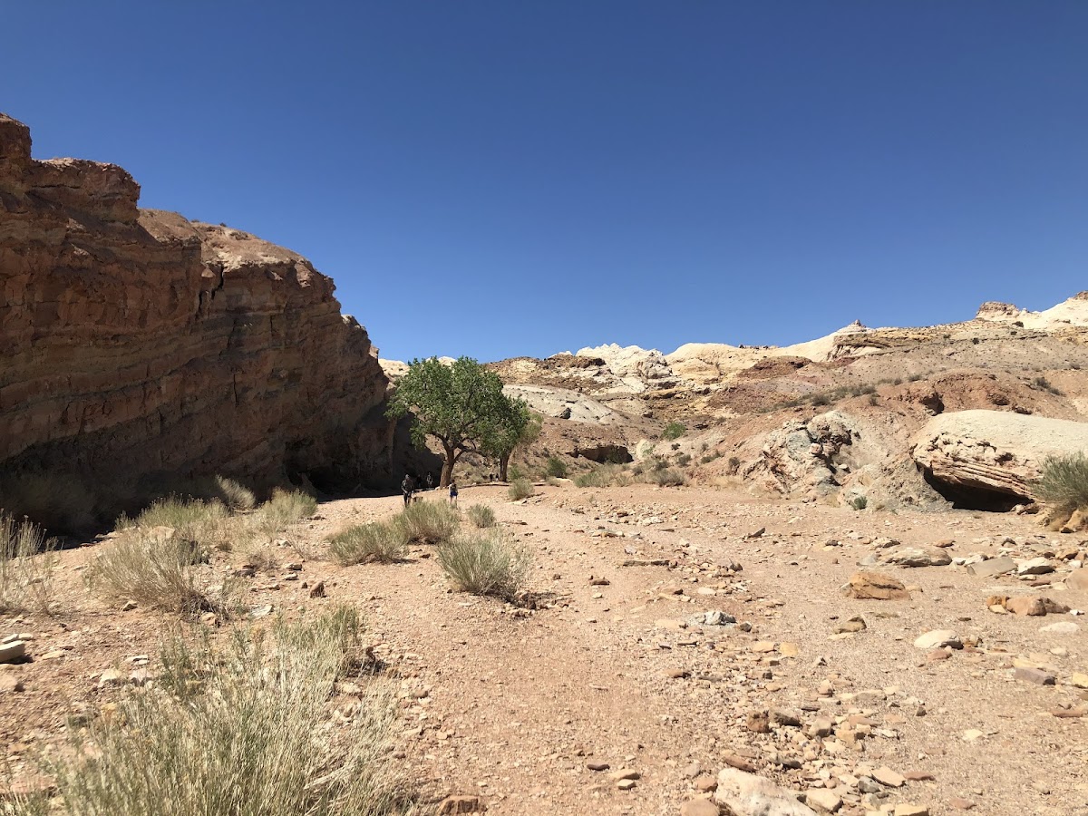 Little Wild Horse Canyon