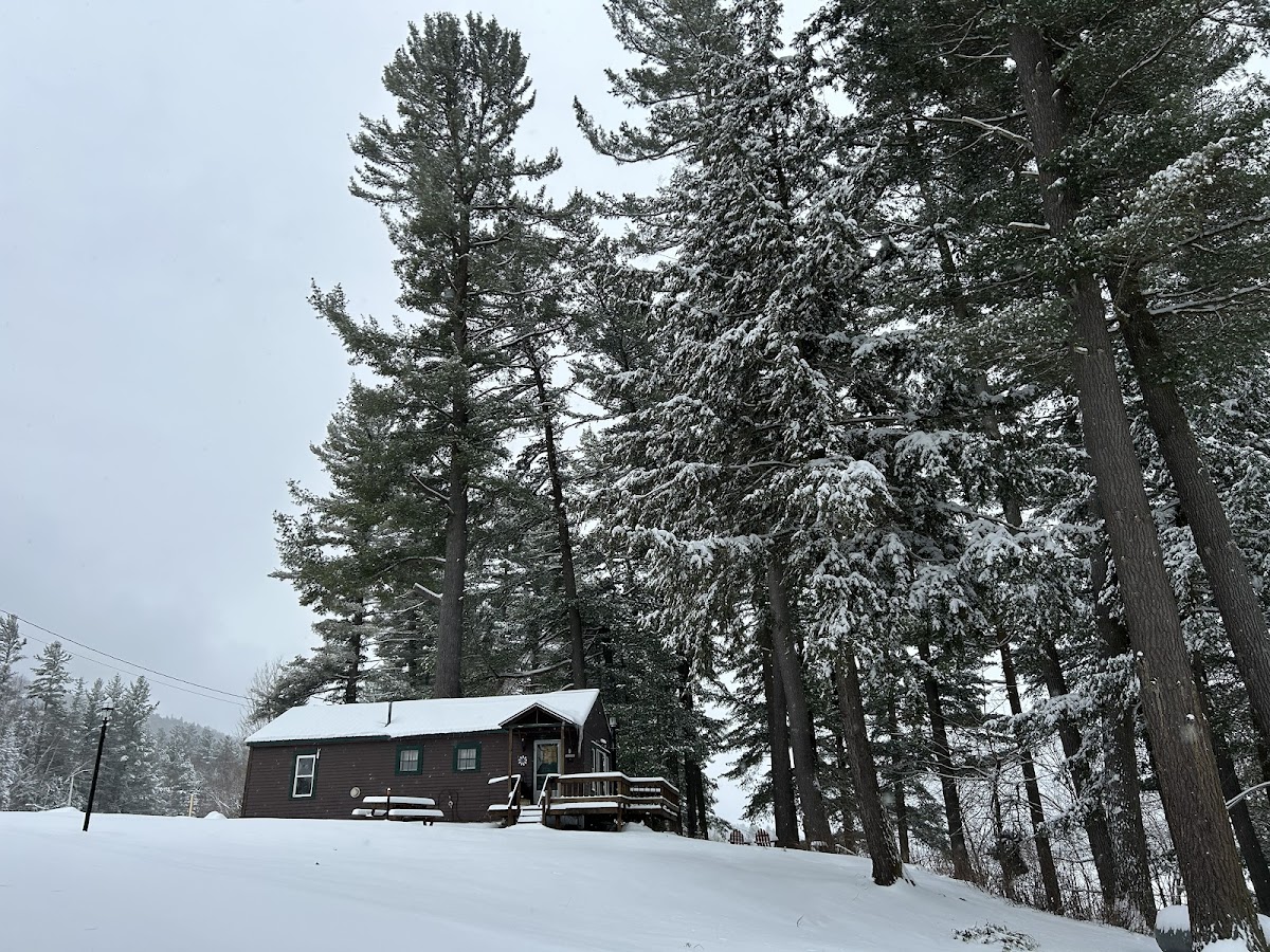 Paddler's Rest Lakefront Cabins and Motel photo 2