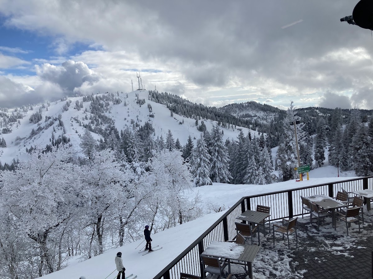 Pioneer Lodge photo 2