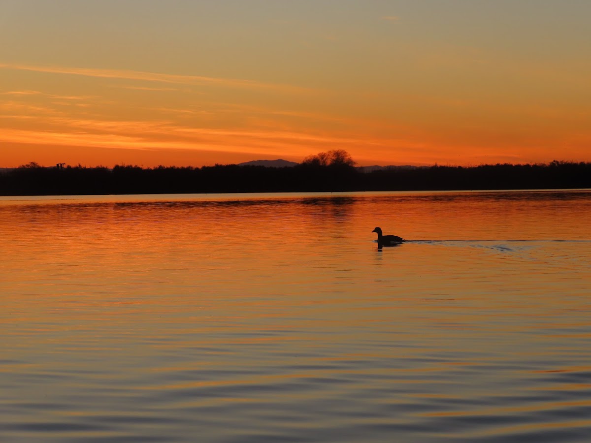 Wiest Lake