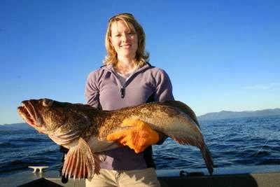 Adventure Alaska Southeast photo 3
