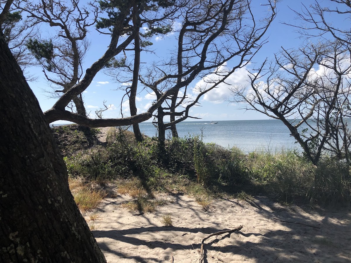 Springer's Point Preserve